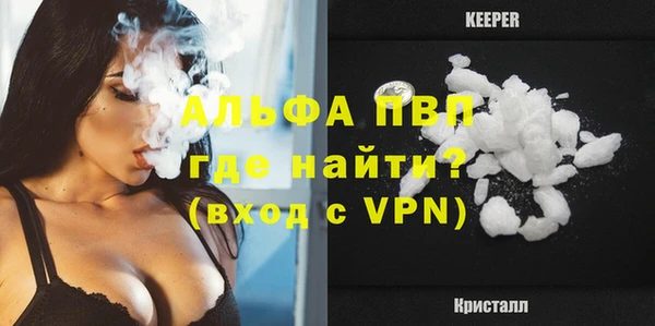 дживик Кинешма