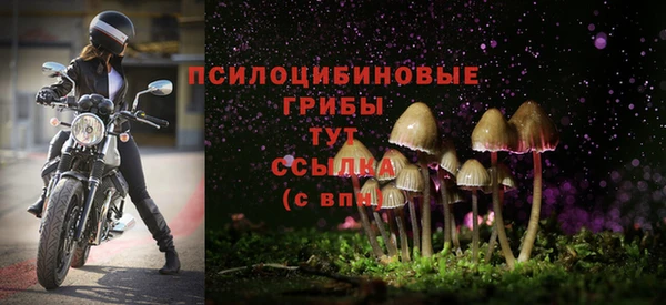 дживик Кинешма