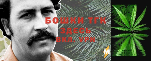 дживик Кинешма