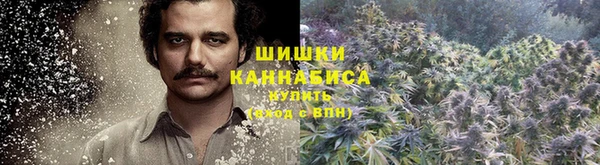 дживик Кинешма