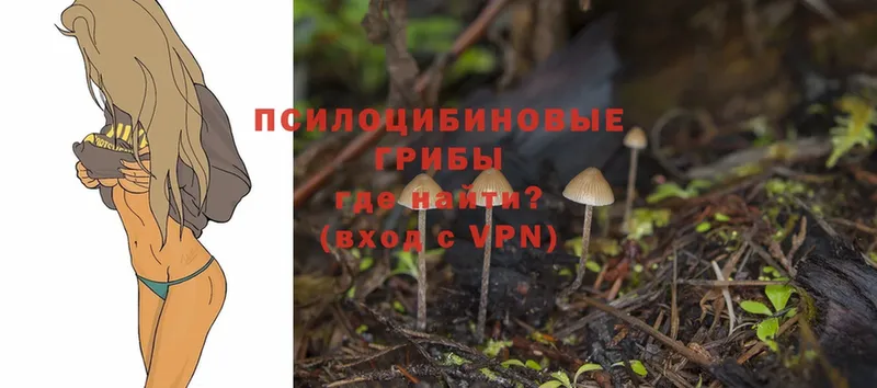 Псилоцибиновые грибы Psilocybine cubensis  продажа наркотиков  Ноябрьск 