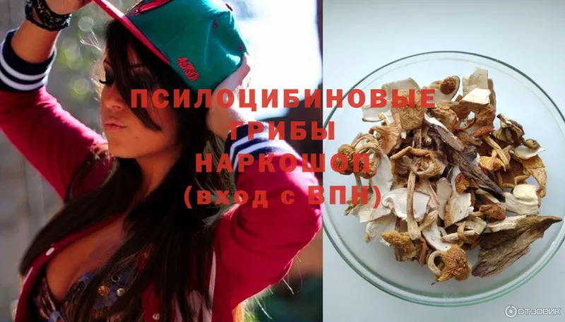 Галлюциногенные грибы Magic Shrooms Ноябрьск