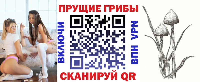 Галлюциногенные грибы GOLDEN TEACHER  Ноябрьск 