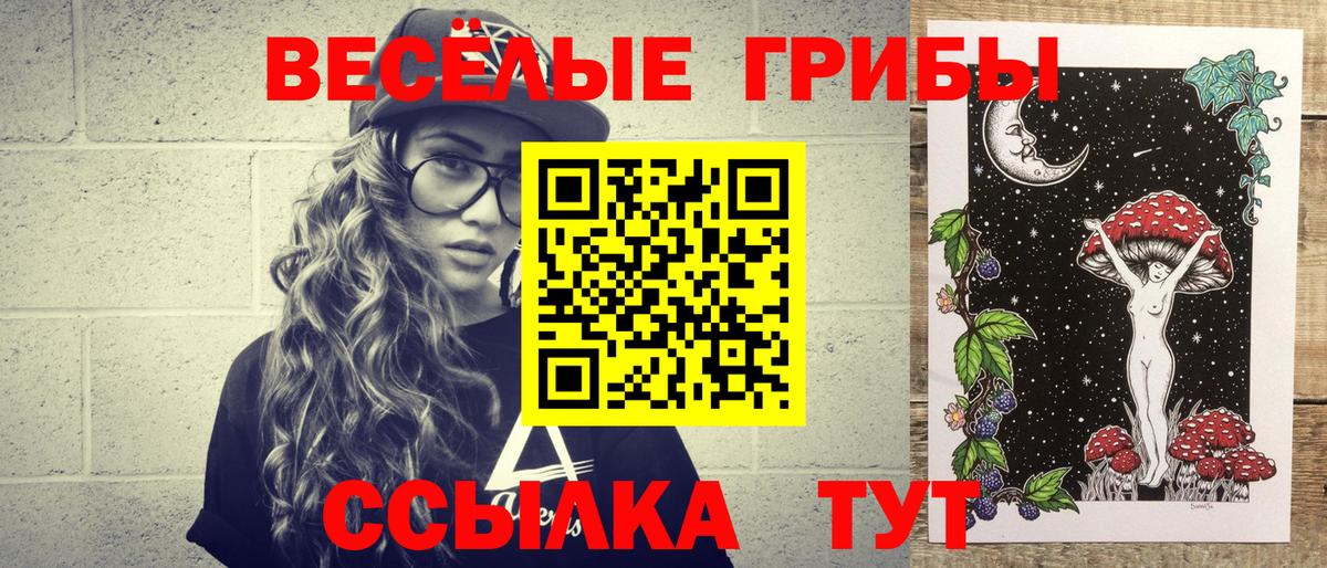 Галлюциногенные грибы Magic Shrooms  хочу наркоту  Галлюциногенные грибы Psilocybine cubensis  Ноябрьск 