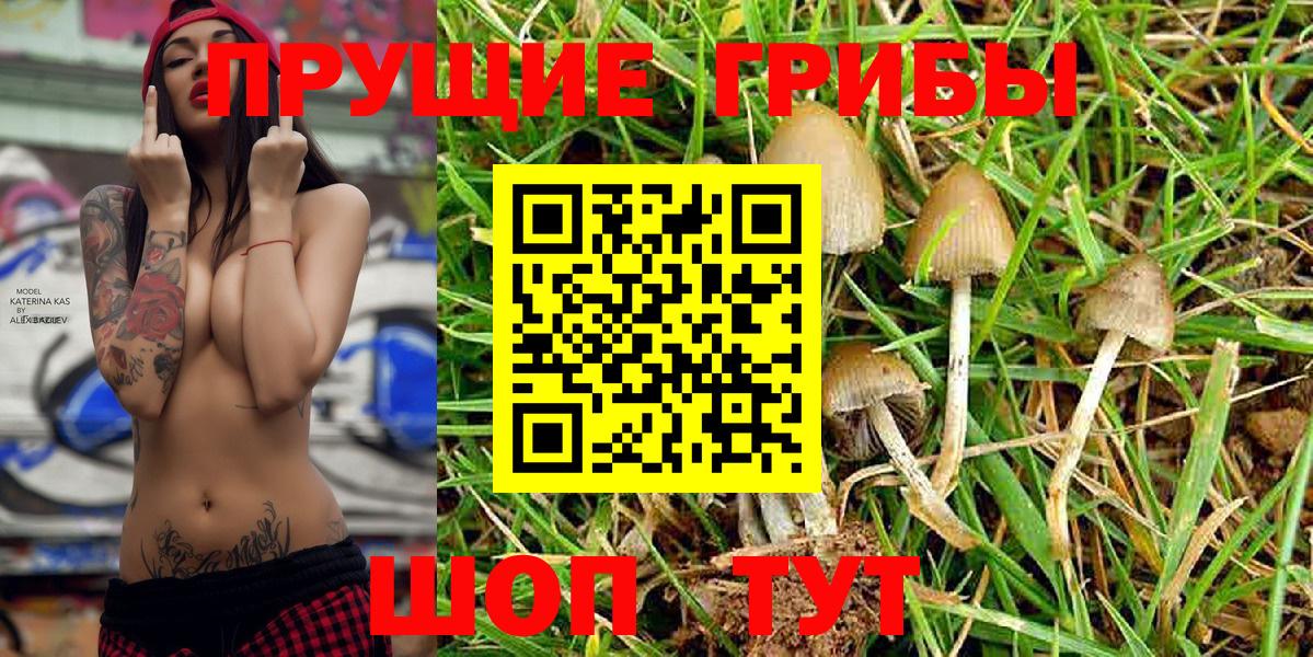 Ноябрьск  Псилоцибиновые грибы MAGIC MUSHROOMS  Псилоцибиновые грибы Psilocybine cubensis  наркотики  Вход с VPN 
