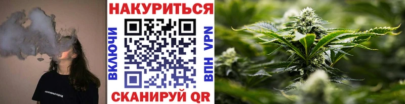 Конопля конопля Ноябрьск